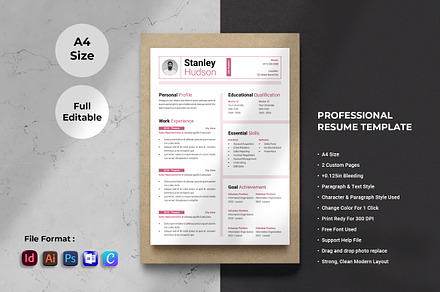 Resume Template, INDD, Canva, Docx