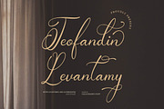 Teofandin Levantamy | Wedding Script, a Script Font by Denustudios (Thumbnail 1 of 14)
