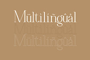 Hisav, a Serif Font by Flawless And Co (Thumbnail 3 of 3)