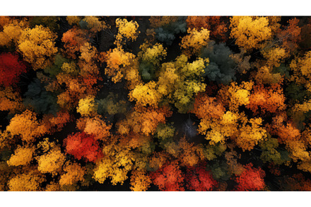 nature tree natural backdrop, a Nature Photo by pikepicture