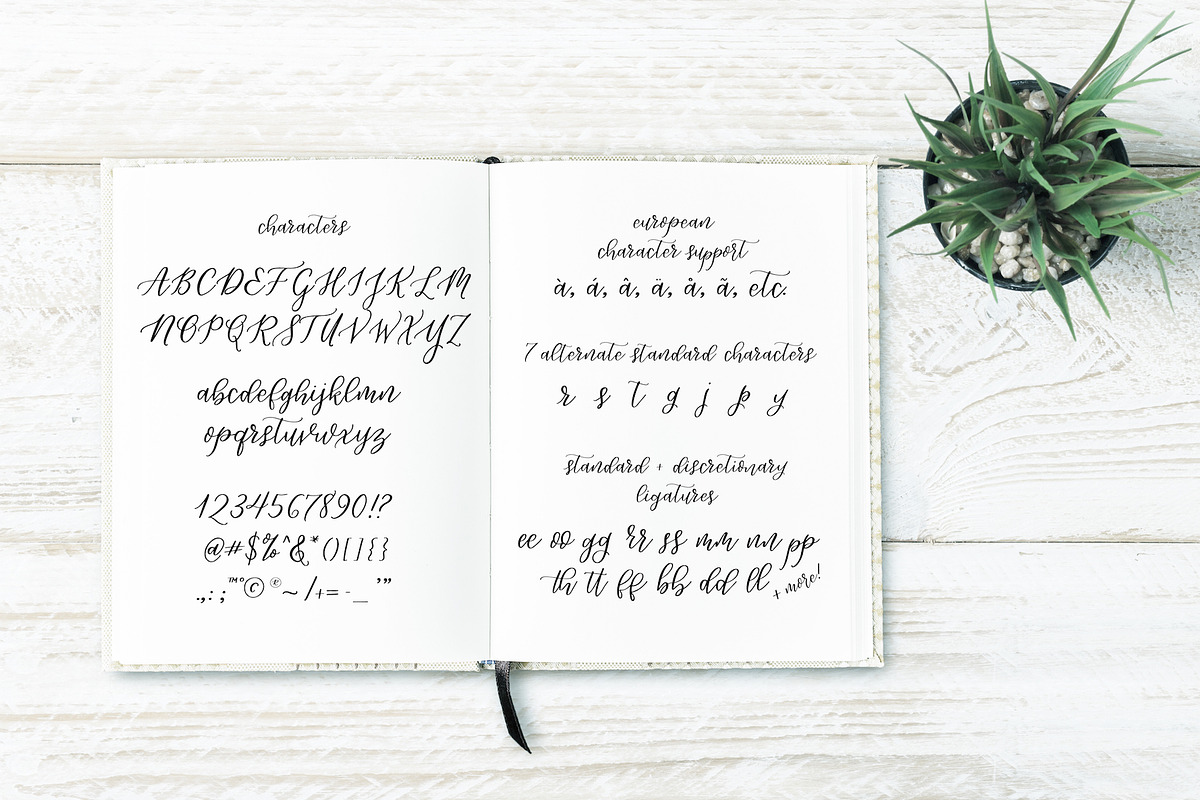 Lively Script preview 4