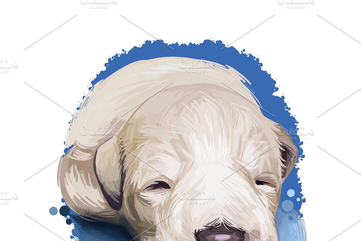 Puppies Dog Breeds Big Bundle 135Pcs, an Animal Illustration by Dneprstock (Photo 63 of 68)