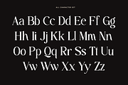 Fastelar - Luxury Branding Font, a Serif Font by Say Studio (Thumbnail 12 of 13)