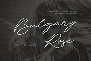 Bulgary Rose Signature Script Font, a Handwritten Font by Heinzel Std (Thumbnail 1 of 20)