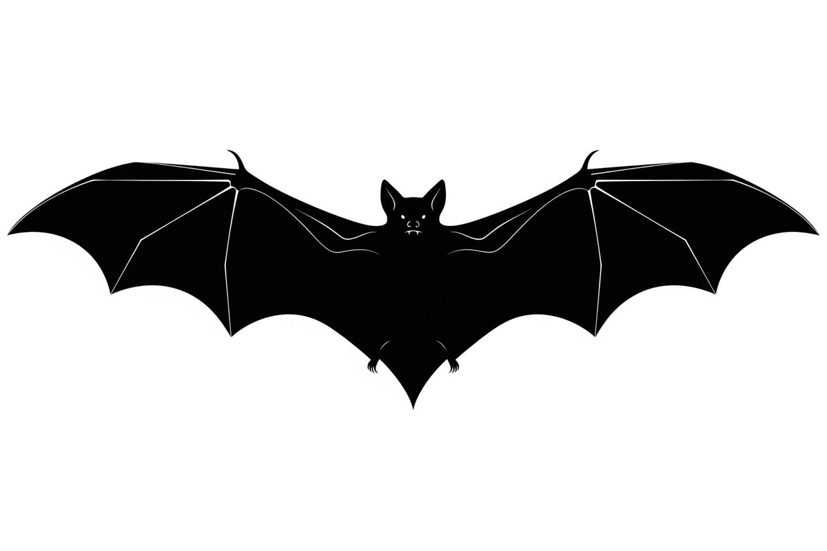 Minimal Horror Bat Silhouette Bundle, an Illustration by Designs_River (Photo 27 of 51)