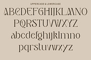 Fevita, a Serif Font by Kenrichi (Thumbnail 8 of 12)