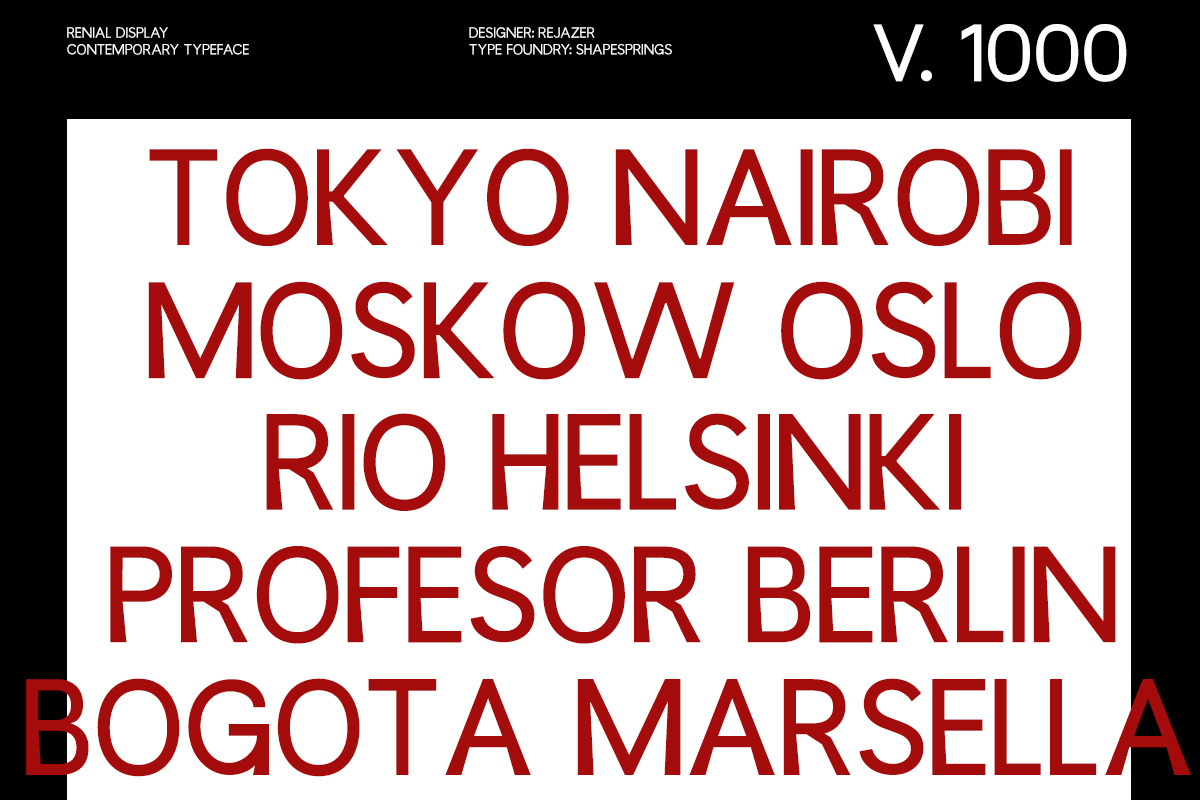 Renial Display, a Sans Serif Font by rejazer (Photo 10 of 11)
