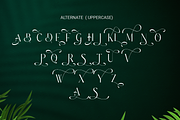 Belavey Modern Luxury Display Font, a Sans Serif Font by RHD Creative Studio (Thumbnail 8 of 9)
