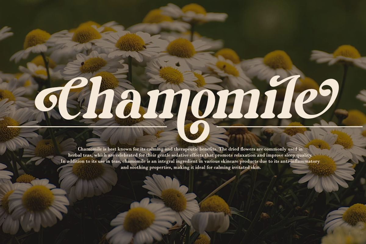 Milky Shake - Retro Serif Font, a Serif Font by Say Studio (Photo 10 of 14)