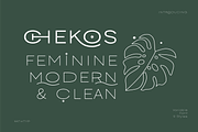 Chekos- Feminine type face design, a Sans Serif Font by AuthenType (Thumbnail 1 of 10)