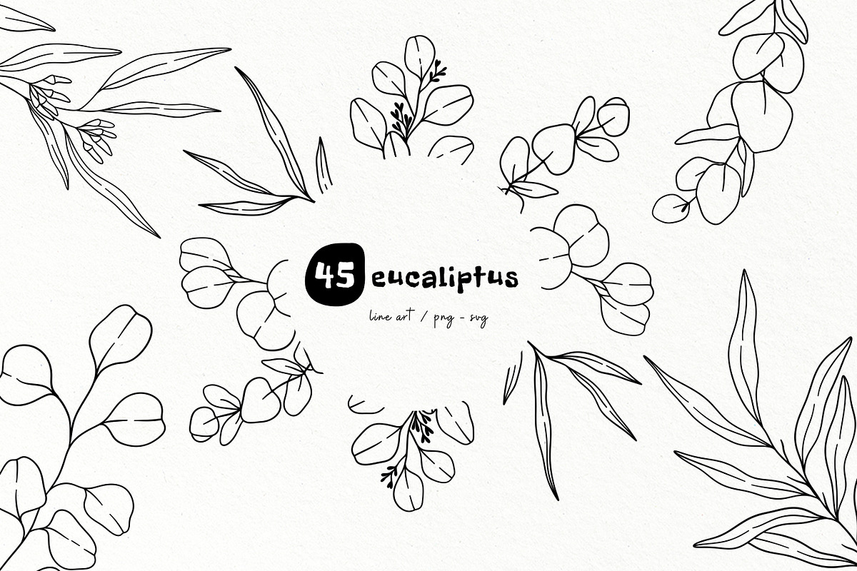 Eucalyptus Line Art Graphics, a Decorative Illustration by DENIDigitalArtSudio (Photo 1 of 5)