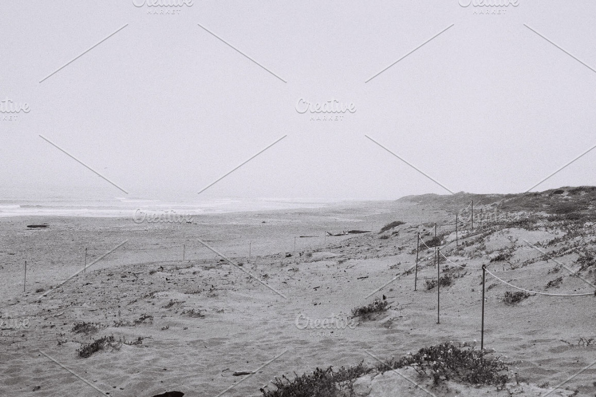 Pacific Coast Grainy, a Templates & Theme by SeikCo (Photo 5 of 5)