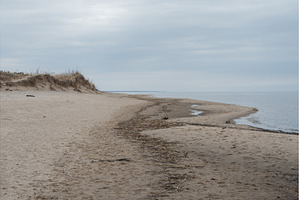 Beach at the Baltic Sea, Carnikava, a Nature Photo by COLORFUL
