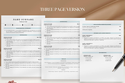 Academic Resume Template, a Resume Template by OkiDocs Resume Templates (Thumbnail 7 of 11)
