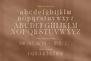 Drak Sistem Elegant Swash Serif Font, a Serif Font by Elegant Font (Thumbnail 7 of 8)