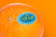 Don Flip Flap - fun inline font trio, a Font by Little Type Factory (Thumbnail 5 of 10)