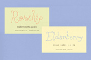 Honeylark Whimsical Curly Font, a Handwritten Font by PeachCreme (Thumbnail 3 of 13)
