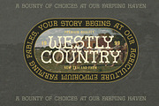 Mosaic Desert - Display Typeface, a Sans Serif Font by Letterhend Studio (Thumbnail 9 of 9)