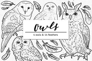Owl Graphics