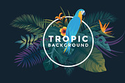 Tropical backgrounds, a Texture Illustration by Creative Graphics (Thumbnail 4 of 11)