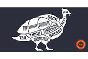 Turkey, poultry, hand-drawn, a Food Illustration by Foxys Graphic (Thumbnail 3 of 3)