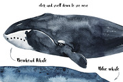 In love with watercolor Ocean, an Animal Illustration by KatBranchArt (Thumbnail 2 of 7)