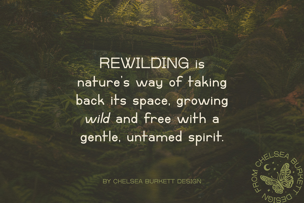 Rewilding, a Sans Serif Font by Chelsea Burkett (Photo 6 of 8)