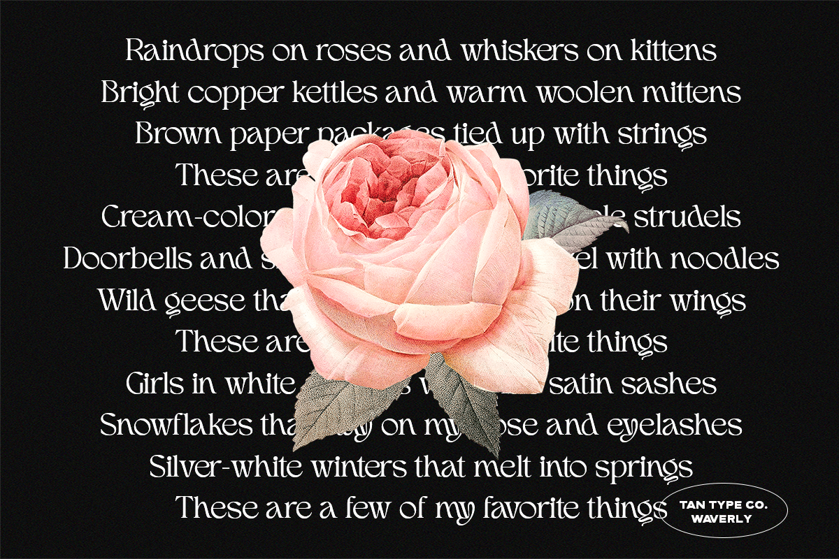 TAN - WAVERLY, a Serif Font by TanType (Photo 18 of 22)