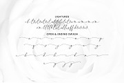 Pubrih Signature Font, a Script Font by Maulana Creative (Thumbnail 9 of 10)