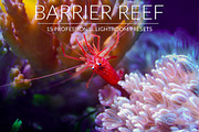 Barrier Reef Lr Presets, an Action Add-On by PandoraDreams (Thumbnail 1 of 7)
