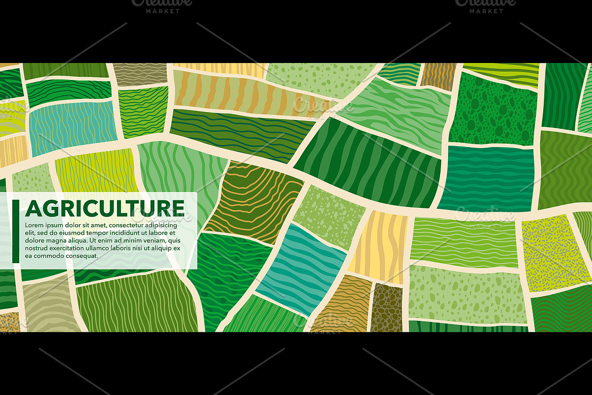 Farm field top view of plantation, a Seasonal Illustration by Buch&Bee (Photo 1 of 3)