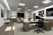 Executive Director Office, an Animal 3D Model by Giimann (Thumbnail 5 of 9)