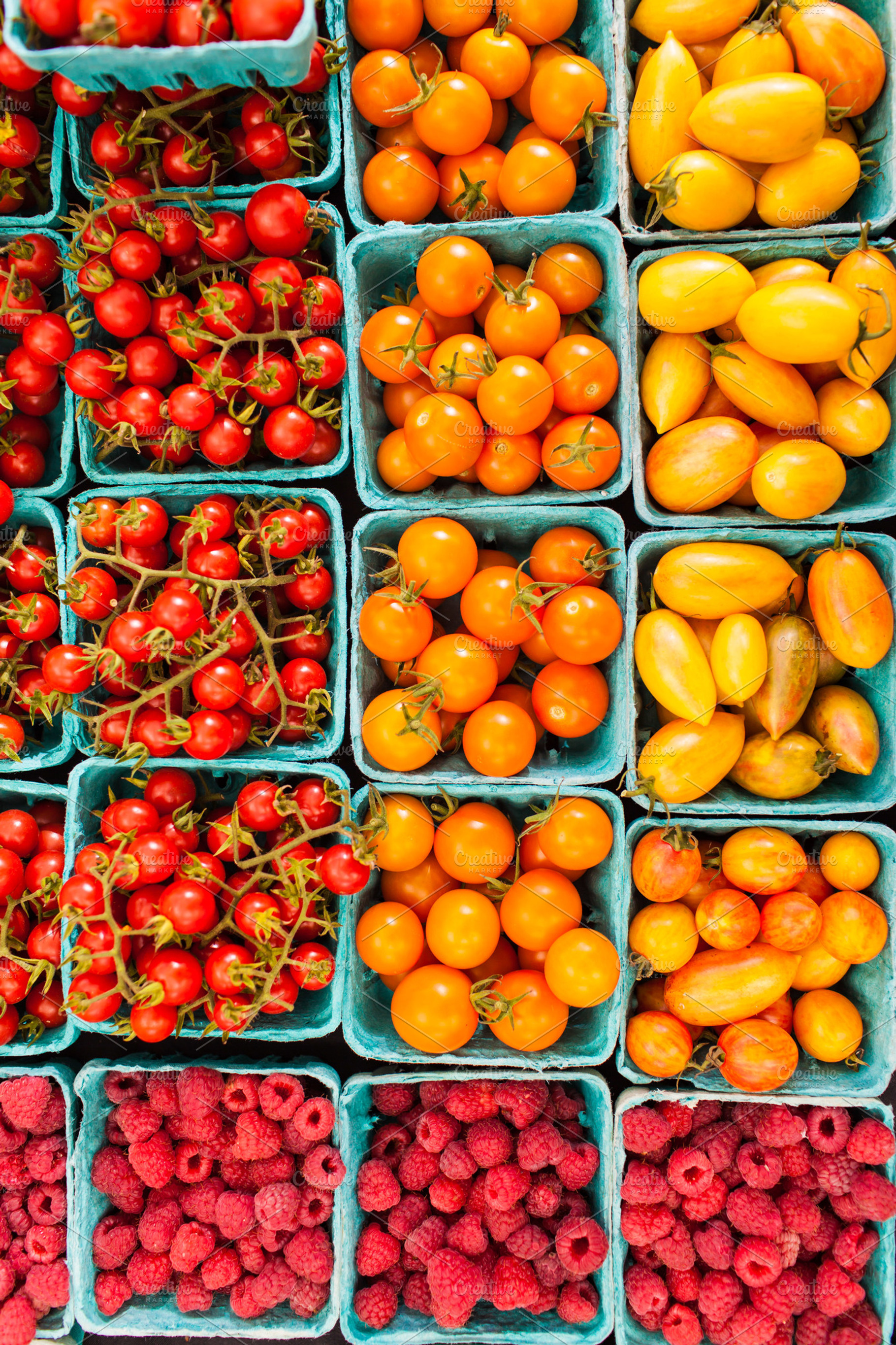 Colorful tomatoes at the farm stock photo containing autumn and fall, a Food & Drink Photo by kissandmockup