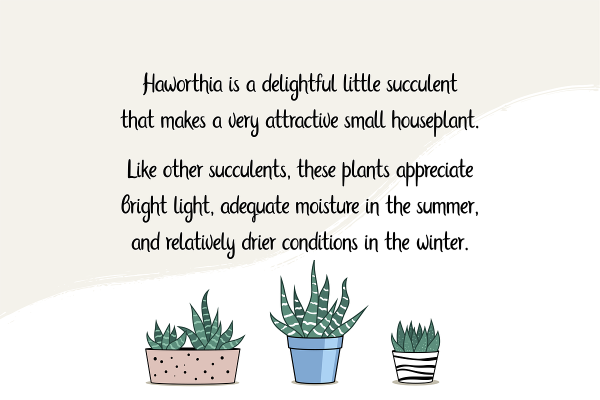 Haworthia. Multilingual Script Font., a Script Font by Cmeree (Photo 3 of 7)