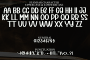 Special Sunday, a Serif Font by FreshTypeINK (Thumbnail 3 of 8)