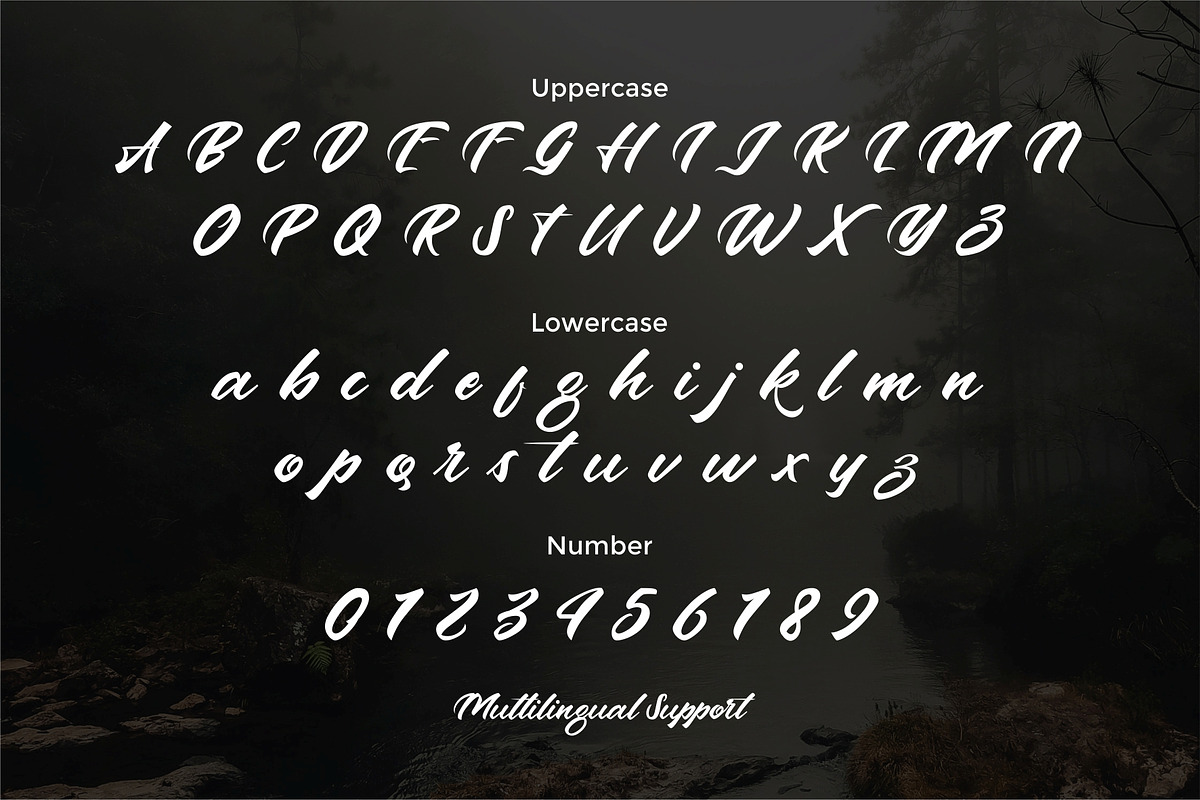 Andalas, a Script Font by edukka (Photo 3 of 9)