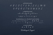 Mashiny Handwritten Business Font, a Script Font by Multype Studio (Thumbnail 7 of 7)