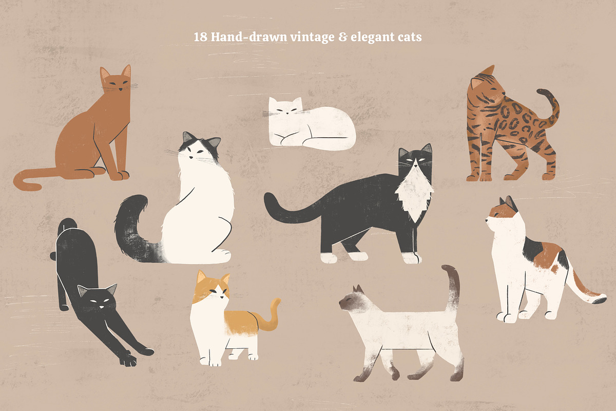 Cats Collection: Colored and Outline, an Illustration by imajineko (Photo 3 of 10)