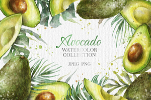 Avocado Watercolor Collection.