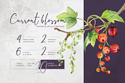 Currant blossom, a Decorative Illustration by MsFlaffy (Thumbnail 1 of 9)