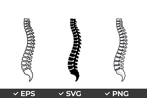 Human Spine Vector Icon Set, an Object Graphic by Artonix
