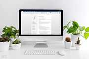 Modern Resume Template - The Helena, a Resume Template by AntDesignStudio (Thumbnail 8 of 9)