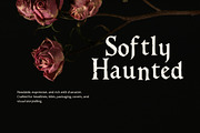 Dark Fairytale Display Serif Font, a Font by foxsong (Thumbnail 5 of 6)