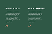 Benua Grotesque TypeFamily + Italic, a Serif Font by Jehoo Creative (Thumbnail 9 of 12)