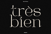 TAN - PARFAIT, a Serif Font by TanType (Thumbnail 4 of 21)