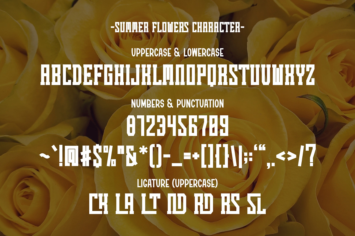 Summer Flowers - Vintage Slab Serif, a Slab Serif Font by Pian45 Studio (Photo 12 of 12)