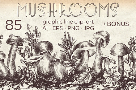 Edible forest mushrooms ink graphics