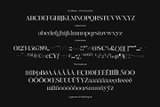 CS Bliska – Elegant Serif Font, a Serif Font by Craft Supply Co. (Thumbnail 8 of 8)