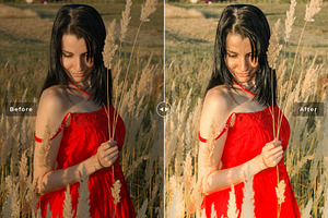 Tumbleweed Pro Lightroom Presets