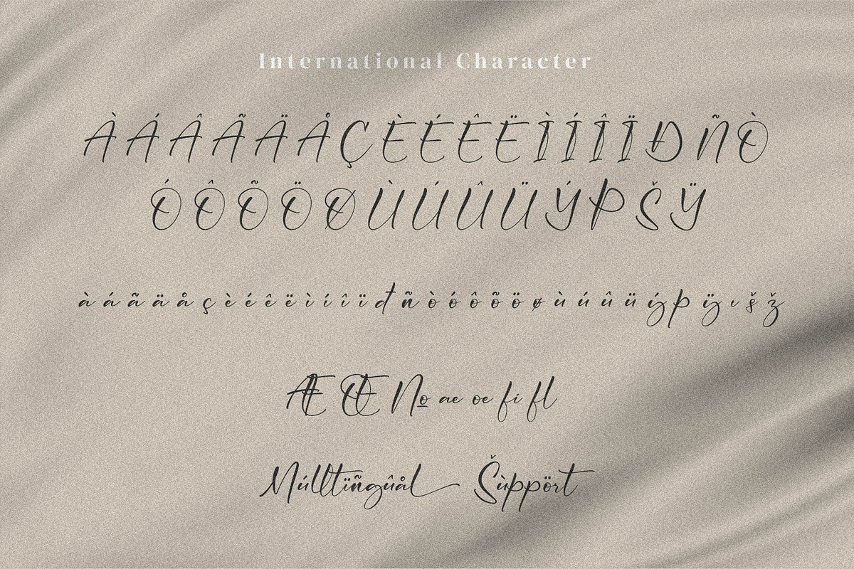 Cicaero, a Script Font by Integritype Studio (Photo 10 of 15)